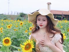 -杭州湾海上花田景区