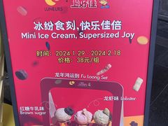 -LUNEURS月乐诗·法式冰淇淋(环贸店)