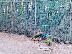 -宁波野生动物园