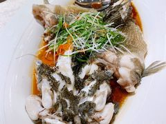 -粤凤佬