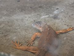 -上方山森林动物世界