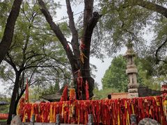 -大槐树寻根祭祖园
