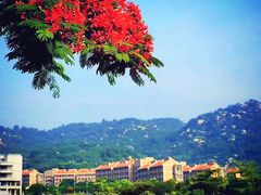 -厦门国家会计学院