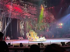 -广州长隆国际大马戏