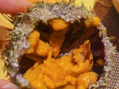 新鲜海胆-割烹旭日本料理(龙湖狮山天街店)