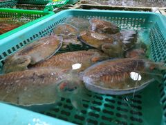 -外伶仃岛海鲜市场