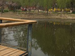 -东郊湿地公园