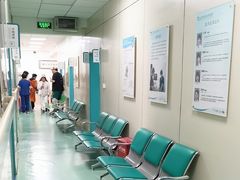 -北京观赏动物医院·24小时大型综合·猫专科·异宠专科