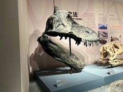 -自贡恐龙博物馆