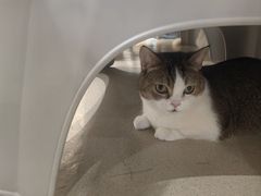 -藏猫猫咖啡主题馆(中央大道店)