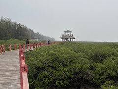 -北海金海湾红树林生态旅游区