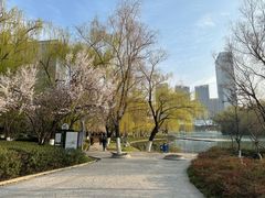 -天鹅湖体育公园