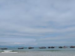 -杨梅坑