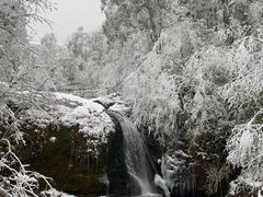 -龙苍沟森林公园