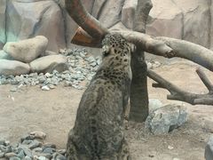 -青藏高原野生动物园