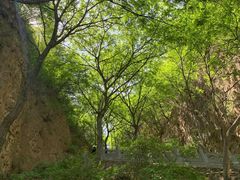 -藏山旅游风景区