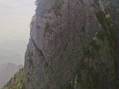 -开口笑·精选水饺