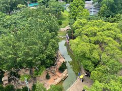 -广州长隆野生动物世界