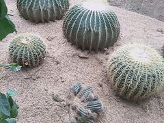 -祥源·阜阳生态乐园