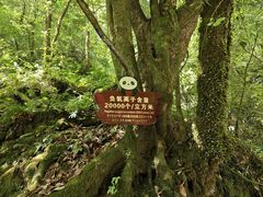 -西岭雪山大飞水景区