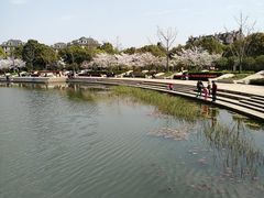 -新江湾城公园