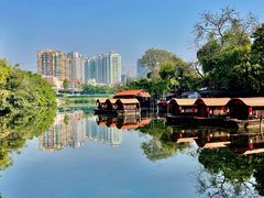 -侨美·唐荔园·40年地道粤菜