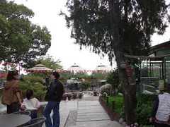 -蘇河湾·新鲁菜·泰山宴(泰山店)