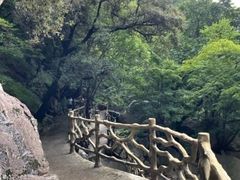 -洛阳白云山景区