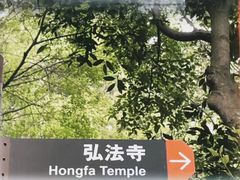 -深圳仙湖植物园