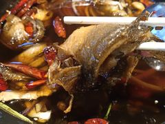 -丹江渔村(望京店)