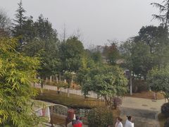 -三江森林温泉度假区