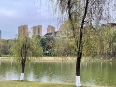 -沐仙湖湿地公园