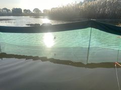 -上海都市菜园