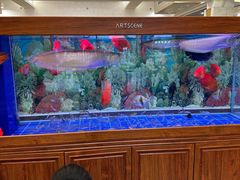 -明香海鲜酒家(华强北店)