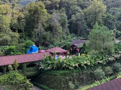 -韶关经律论国际酒店温泉