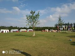 景点-上海长兴岛郊野公园