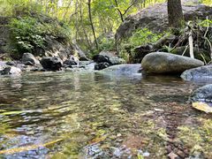 -云岫谷游猎自然风景区