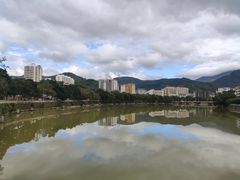 -翡翠老鸭店