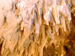 -怀托摩萤火虫洞