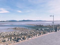 -深圳湾公园(南山区)
