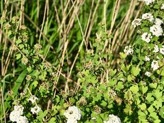 -碓臼峪自然风景区