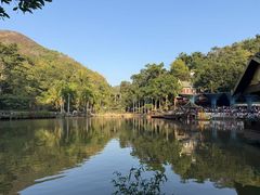 -西双版纳原始森林公园