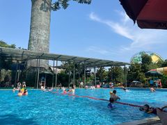 -苏州乐园森林水世界