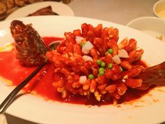 -醉庐·新上海菜(南京西路店)