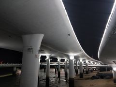 -演武大桥观景平台