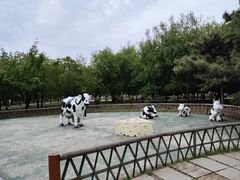 -长春公园(普阳街道)