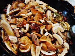 -鲜菌江湖正宗野生菌火锅