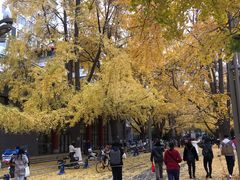 -四川大学(华西校区)