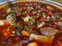 -雲蜀龙阁·金牌水煮鱼(方庄店)