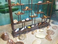 -上海大自然野生昆虫馆(东方明珠·爬宠昆虫探索中心)